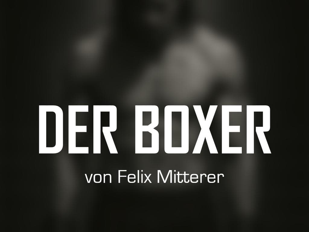 Sommertheatertage 2026 - DER BOXER