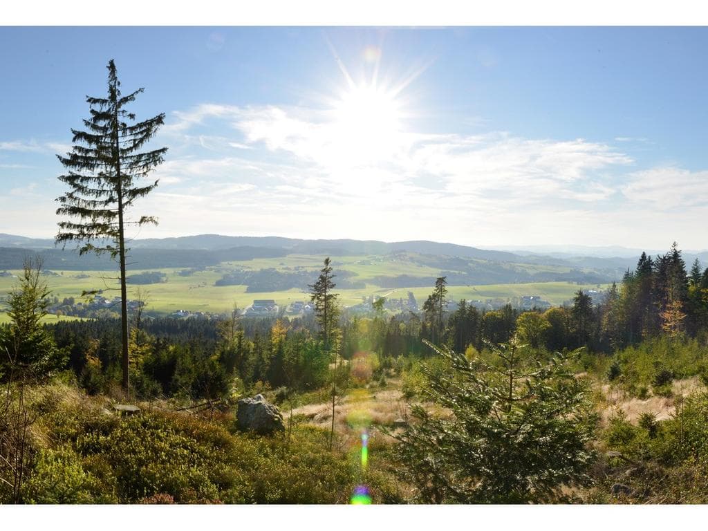Sparkasse Sternsteintrail 2026