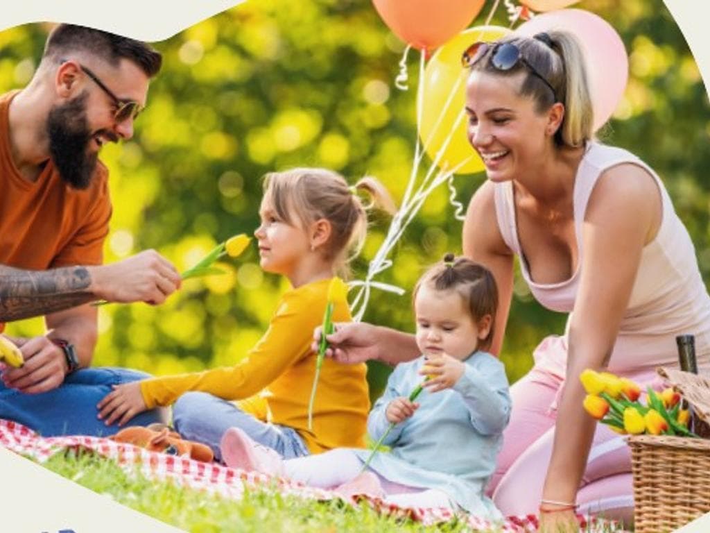 Picknick & Musik open air