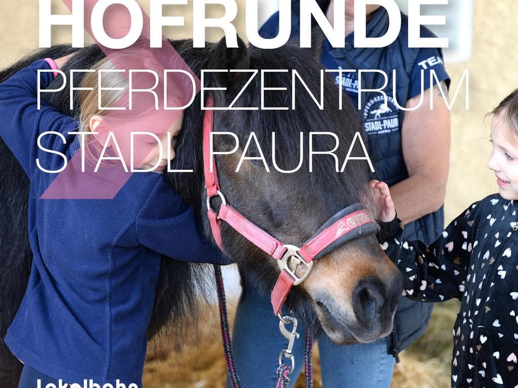 Hofrunde + Araber Festival im Pferdezentrum Stadl-Paura