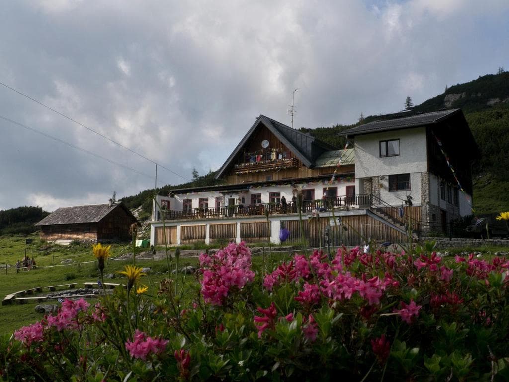 Genusswandern & Gemeinsame Tage am Dachstein