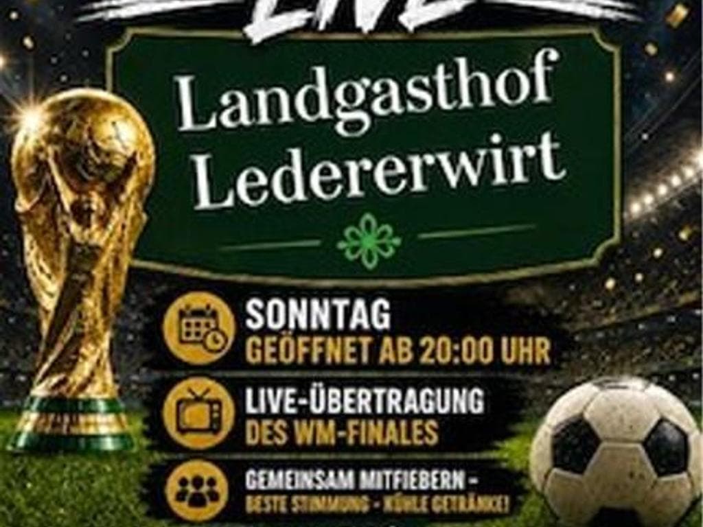 Fußball WM-Finale Live