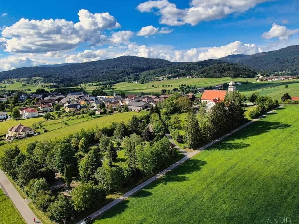Bio-Heilkräutergartenführung in Klaffer
