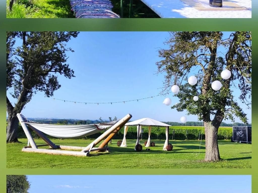 Sommerfest am Weingut Greindl