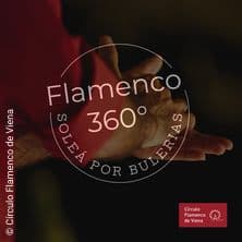 Flamenco 360°: SPB 8-Praxis Wiederholung - Alle Lehrer