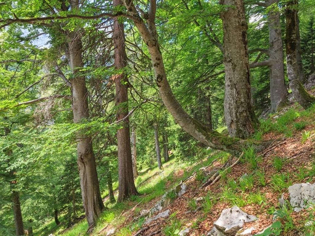 UNESCO Welterbe Tour: Zu den Siebenbrünn