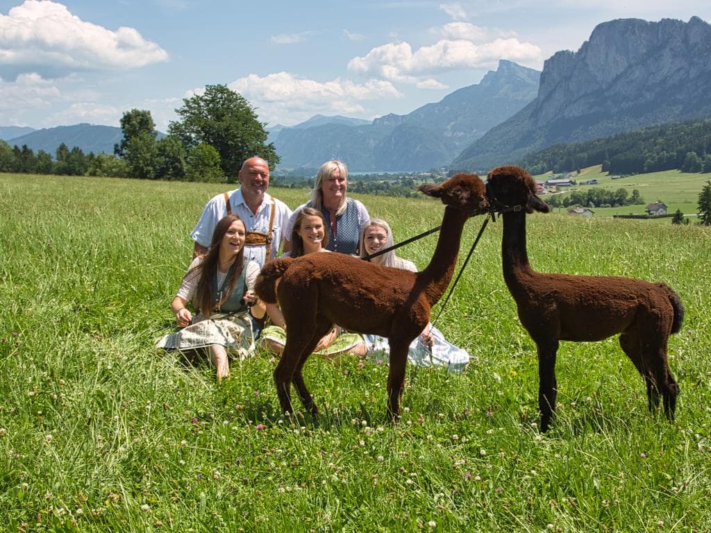 Kreativer Familientag am Alpakahof