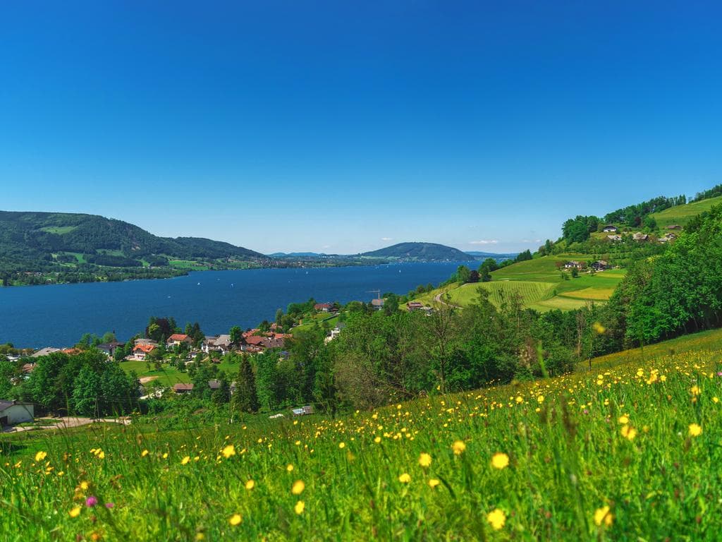Wandern und Schiff - Panoramatour