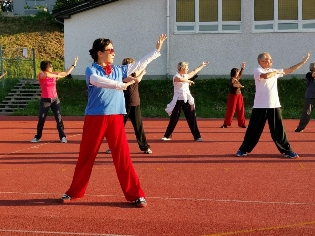 Qigong Woche mit verschiedenen Formen (siehe Programm)