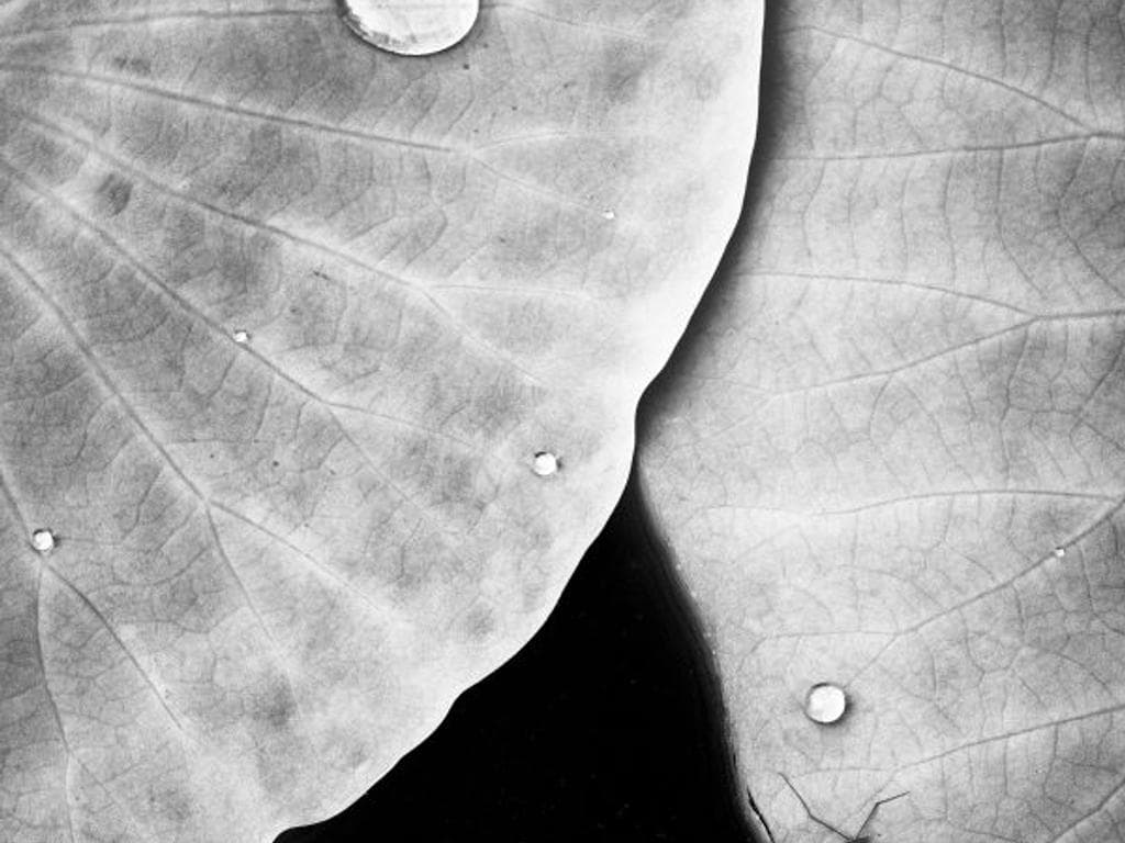 Fotografie und Meditation – The ZEN of Photography