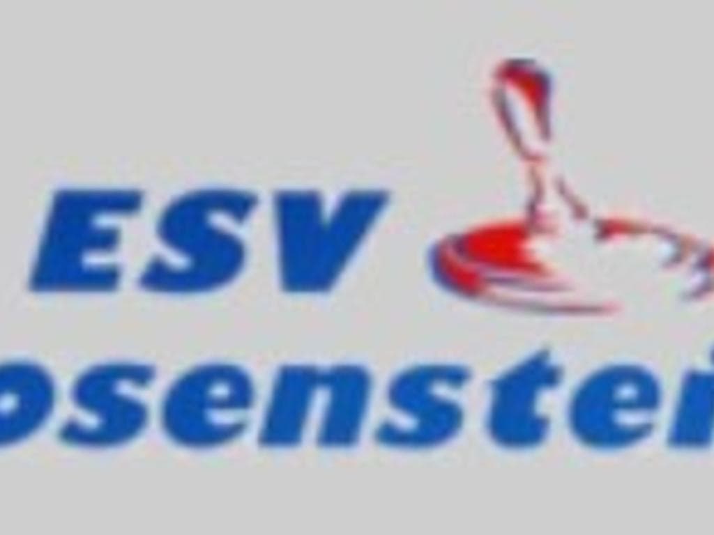ESV Losenstein - Firmenturnier