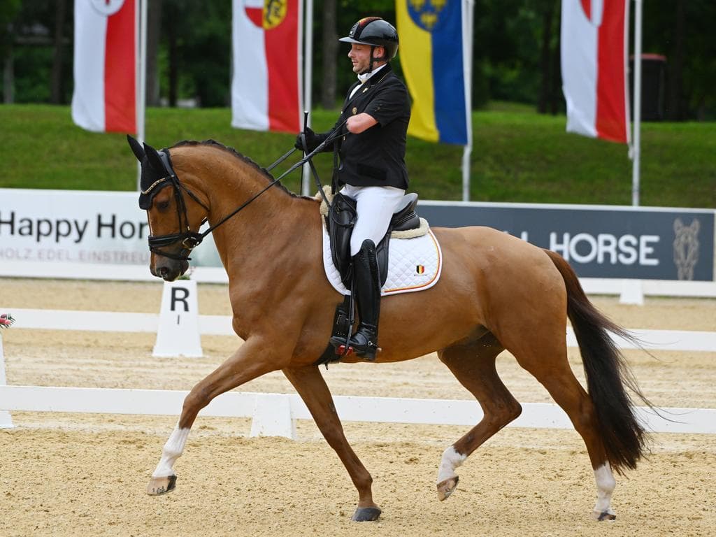 CPEDI3* Paralympische Dressurturnier