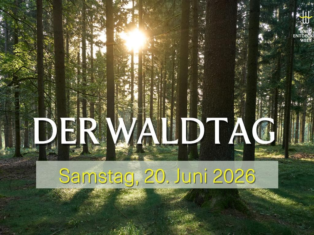 Der Waldtag