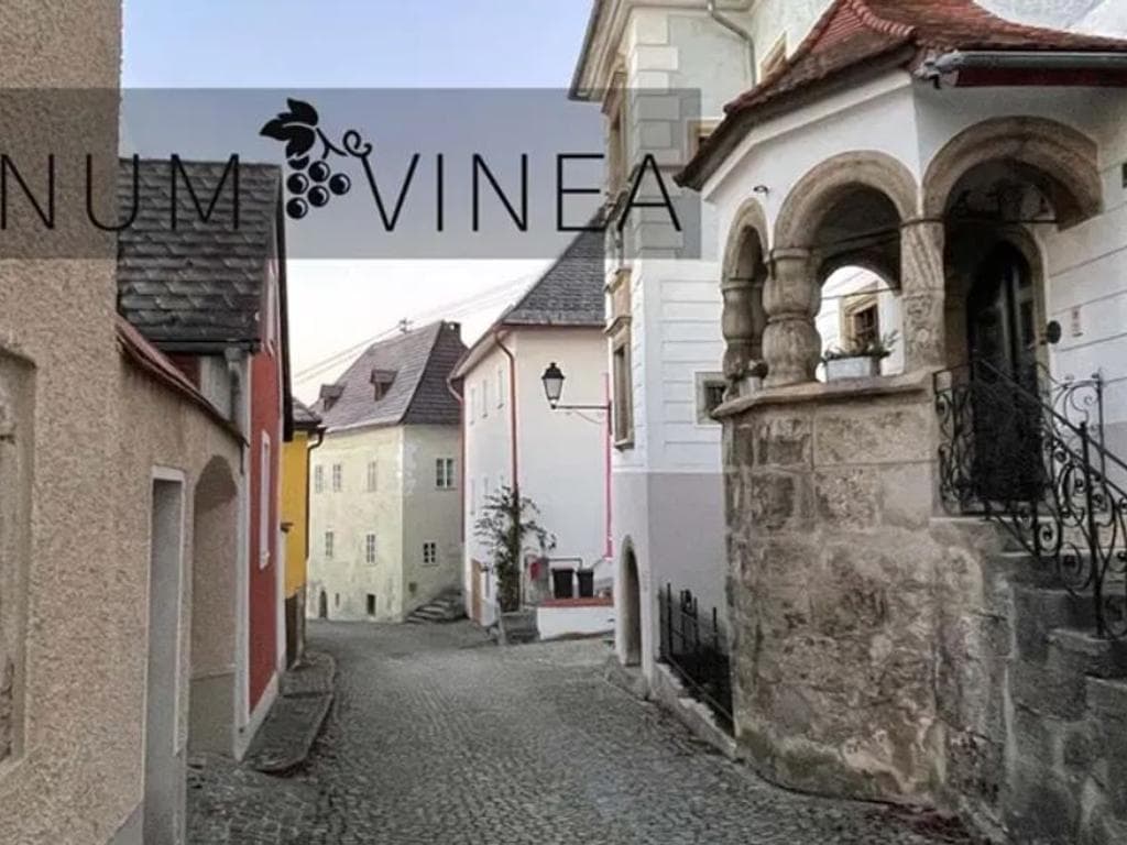 Vinum Vinea 2026