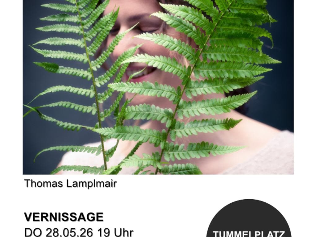 Thomas Lamplmair: Im eigenen Auftrag