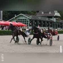Super Trot Cup