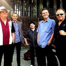Mojo Blues Band - From Chicago to New Orleans