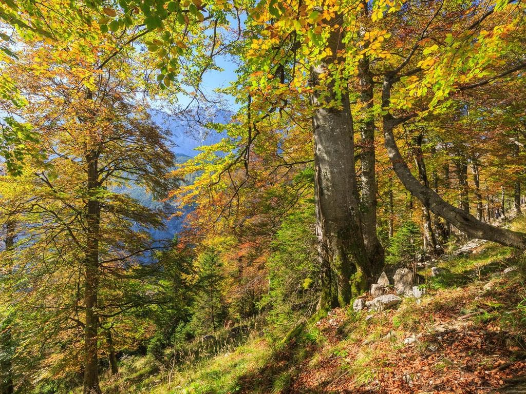 UNESCO Welterbe Tour: Im Bodinggraben