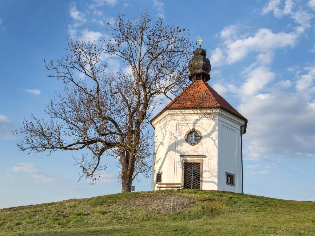 Gemeindewandertag Schwertberg 2026 - Wandern verbindet