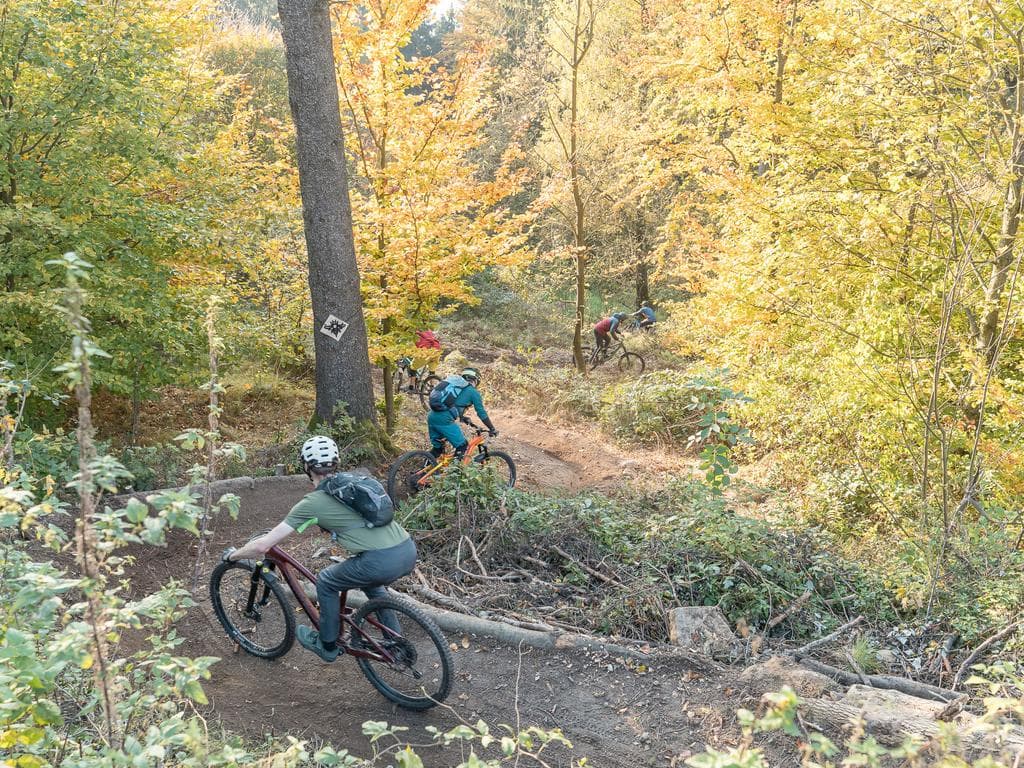 Pfenningberg-Trails | Wochenend Fahrtechnikkurse und Tourenguiding auf den UpperTrails Strecken