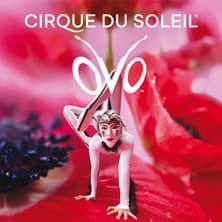 Cirque du Soleil OVO - Zusatzshow