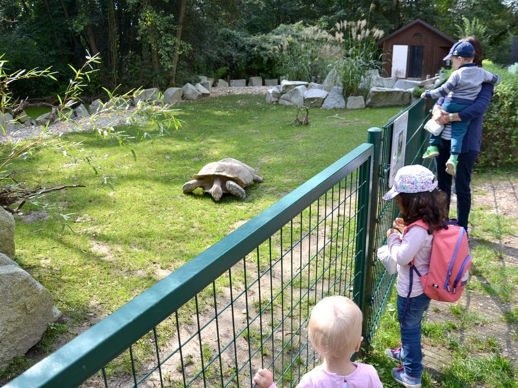 Tierpatentag