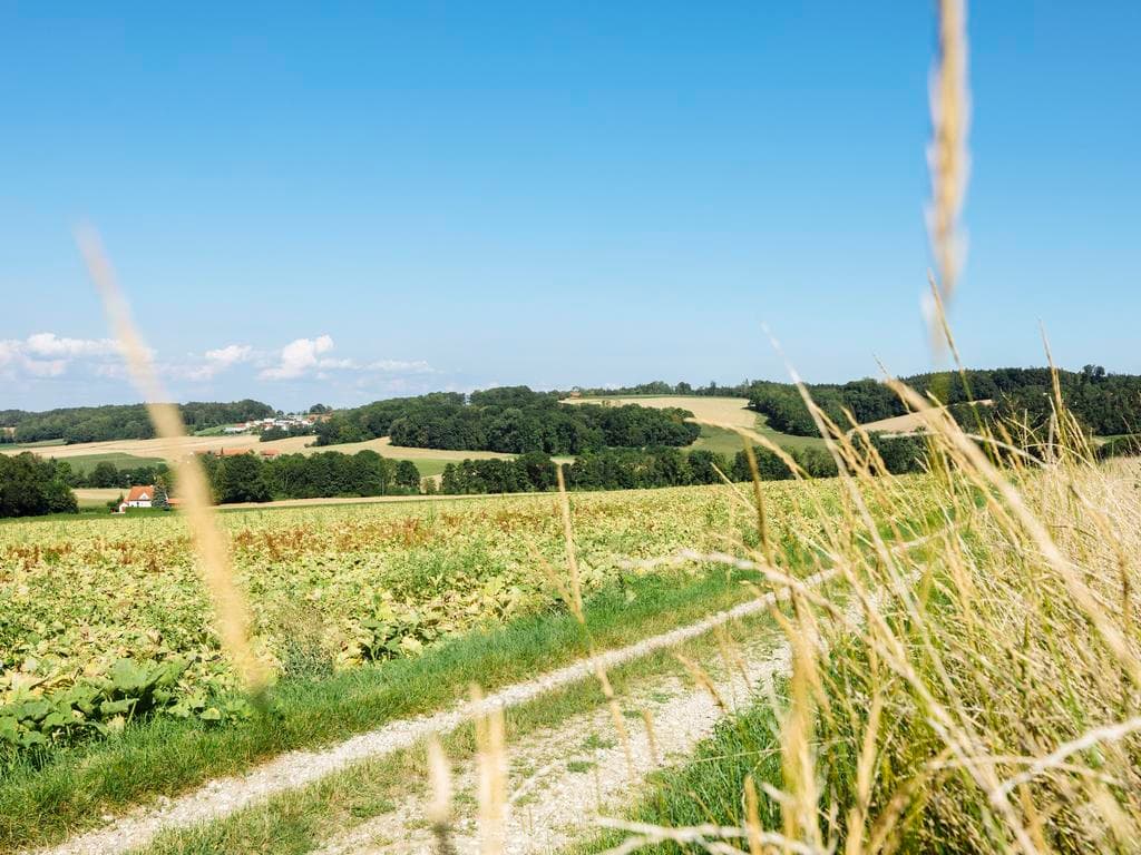 ANSer Panoramalauf 2026