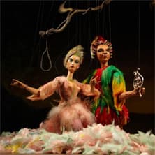 Die Zauberflöte (Kurzfassung) - W. A. Mozart