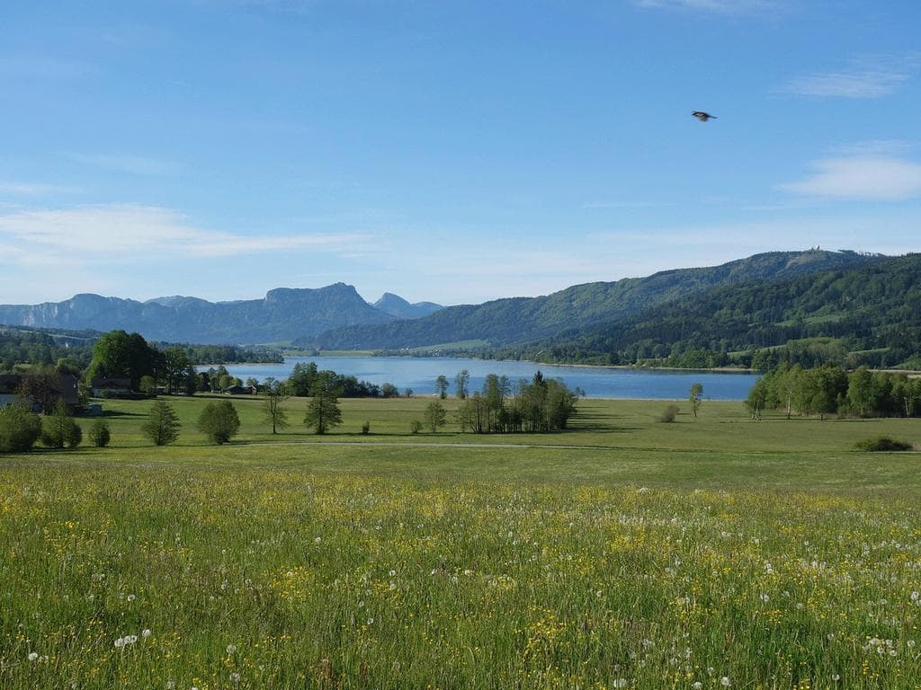 Tanzen am Irrsee – Gesunde Gemeinde Zell am Moos