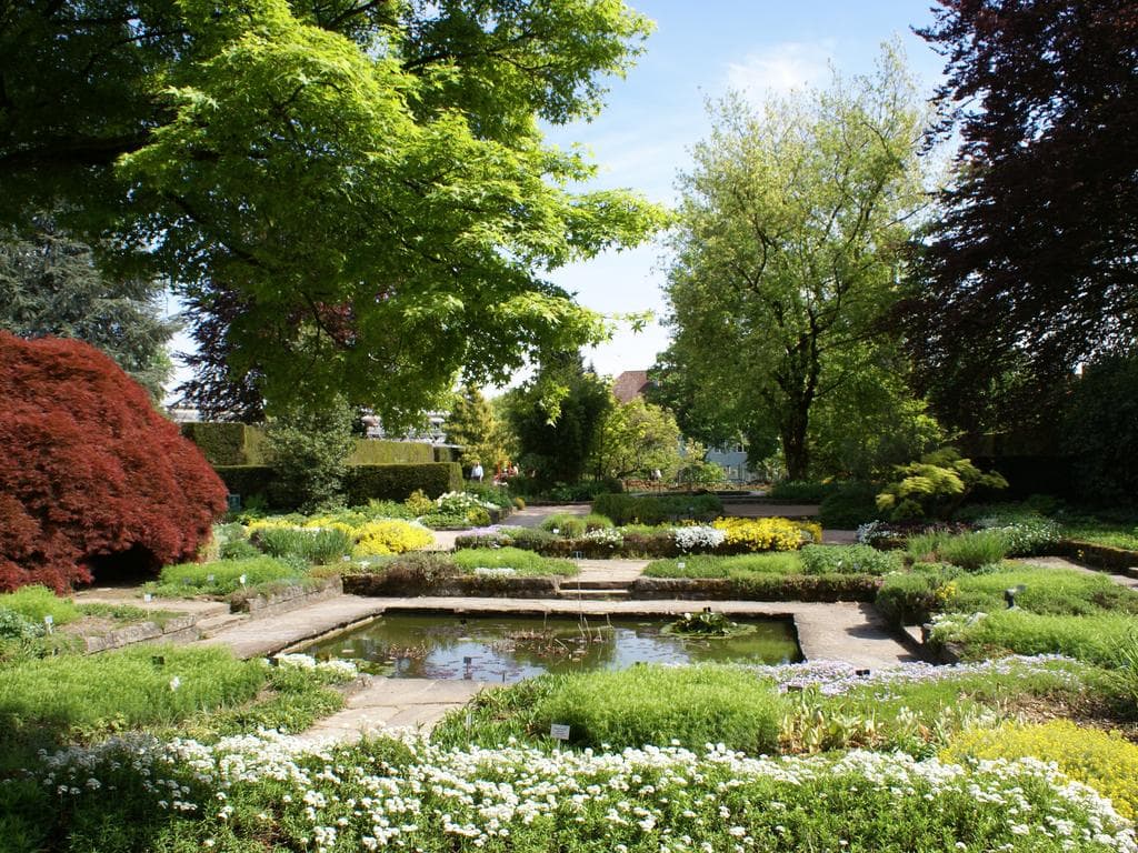 Renate Moran: Die Gespräche der Natur. Plain Air Malerei direkt aus dem Botanischen Garten