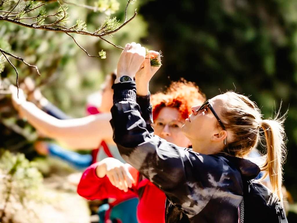 Kräuterspaß für Kids – mit der Seilbahn auf den Berg spielerisch die Welt der Wildkräuter erkunden