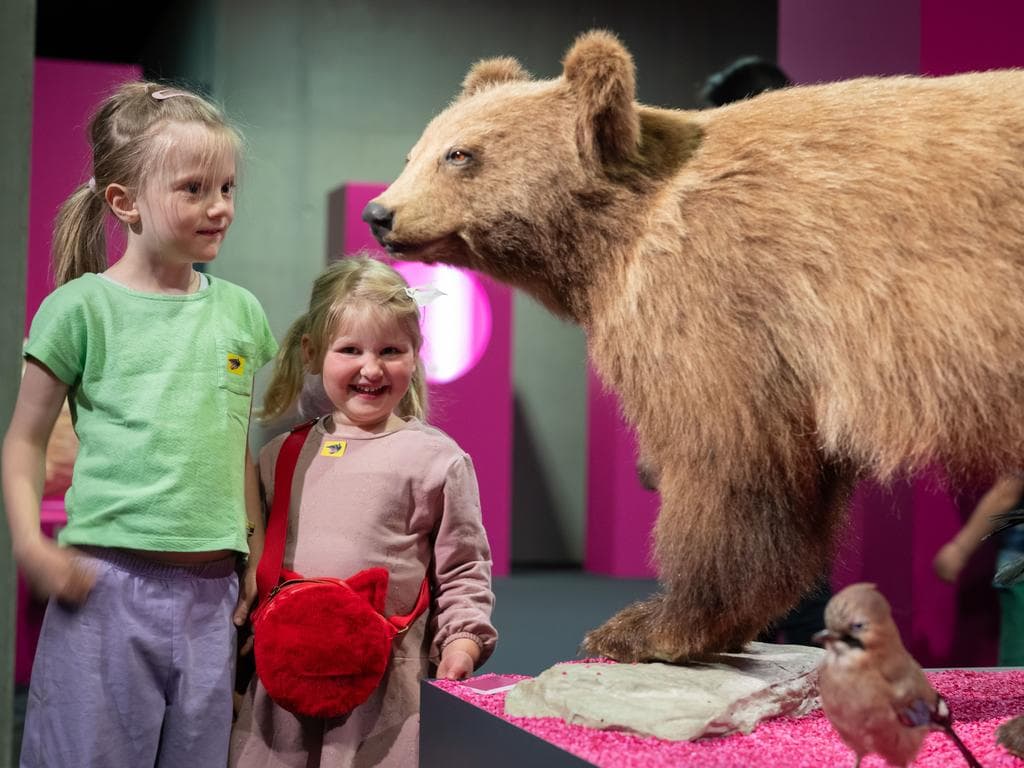 Naturschauspiel: Abenteuer im Schlosspark