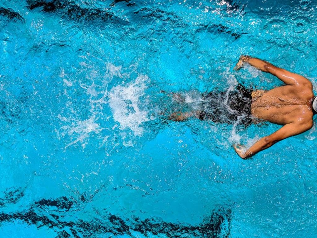 54. Internationales Swimcity Wels Meeting