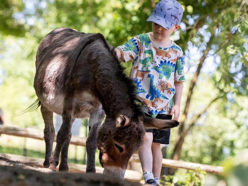 Ferienprogramm im Zoo Schmiding: Forscherabenteuer im Aquazoo