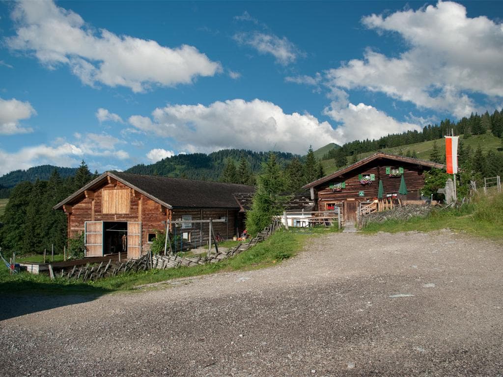 Almkäserei Schnitzhofalm