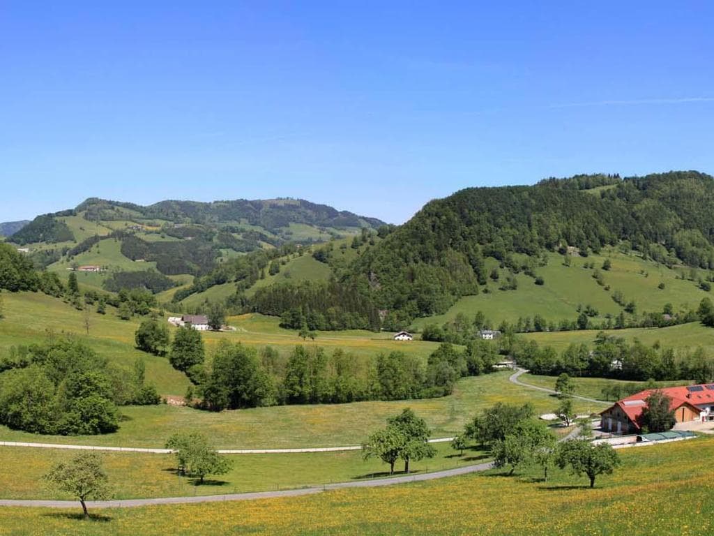Biohof Kleinplettenbach