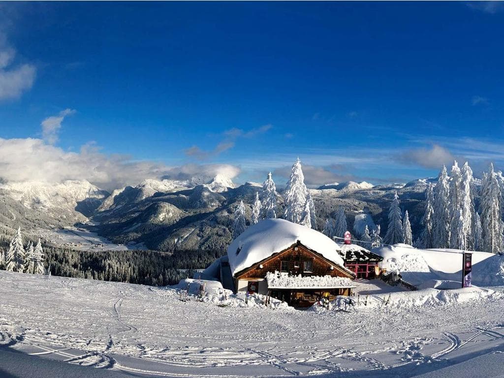 go-gosau ALM