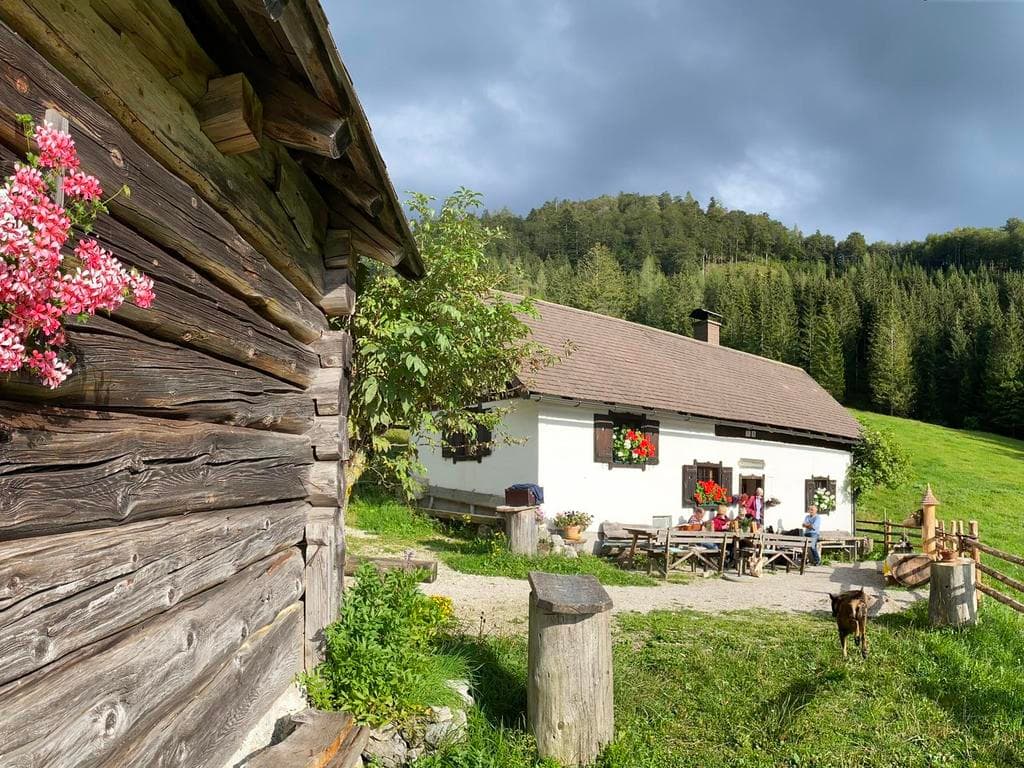 Menaueralm